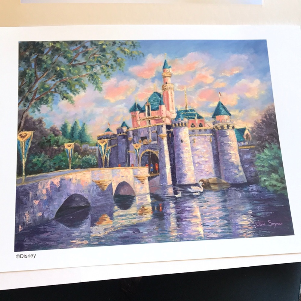 Disney Castle Painting